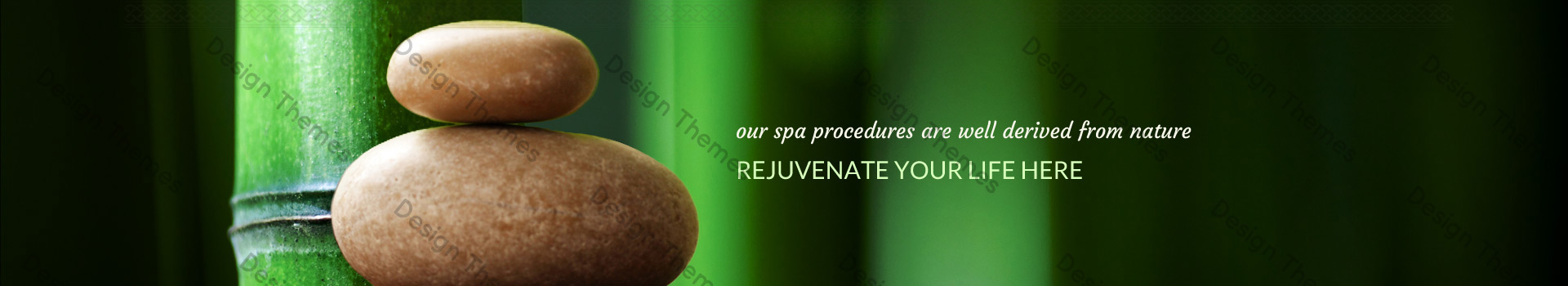 procedure-header-image